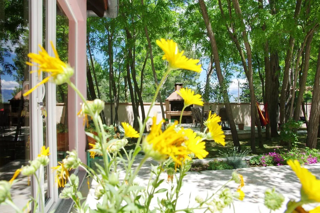 Vila Green Oasis Miro Dracevac Ninski Вилла