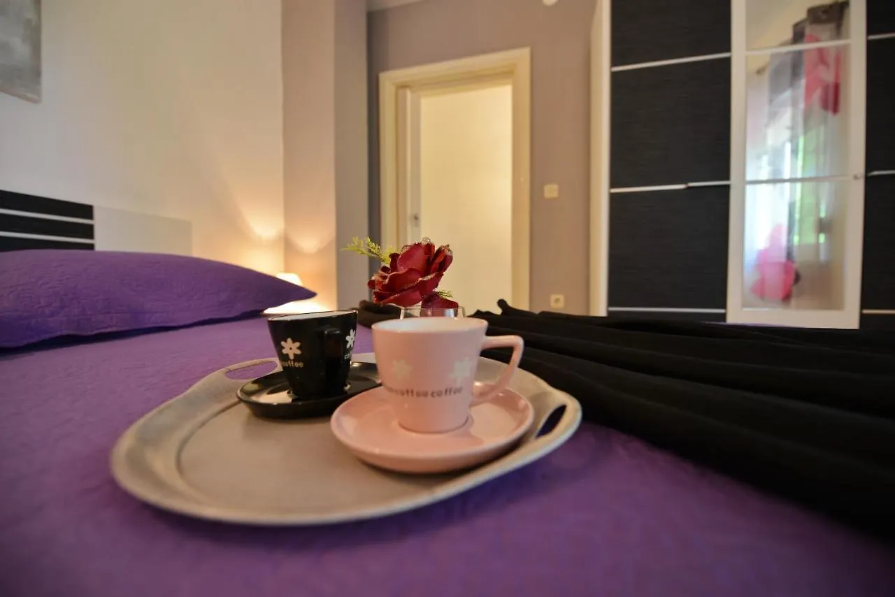 Vila Green Oasis Miro Dracevac Ninski